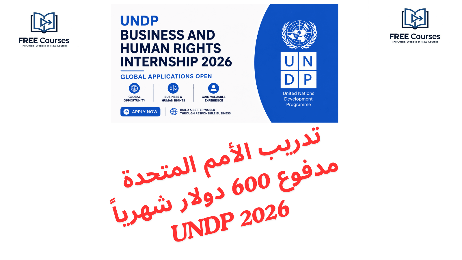 تدريب الأمم المتحدة مدفوع 600 دولار شهريا UNDP 2026