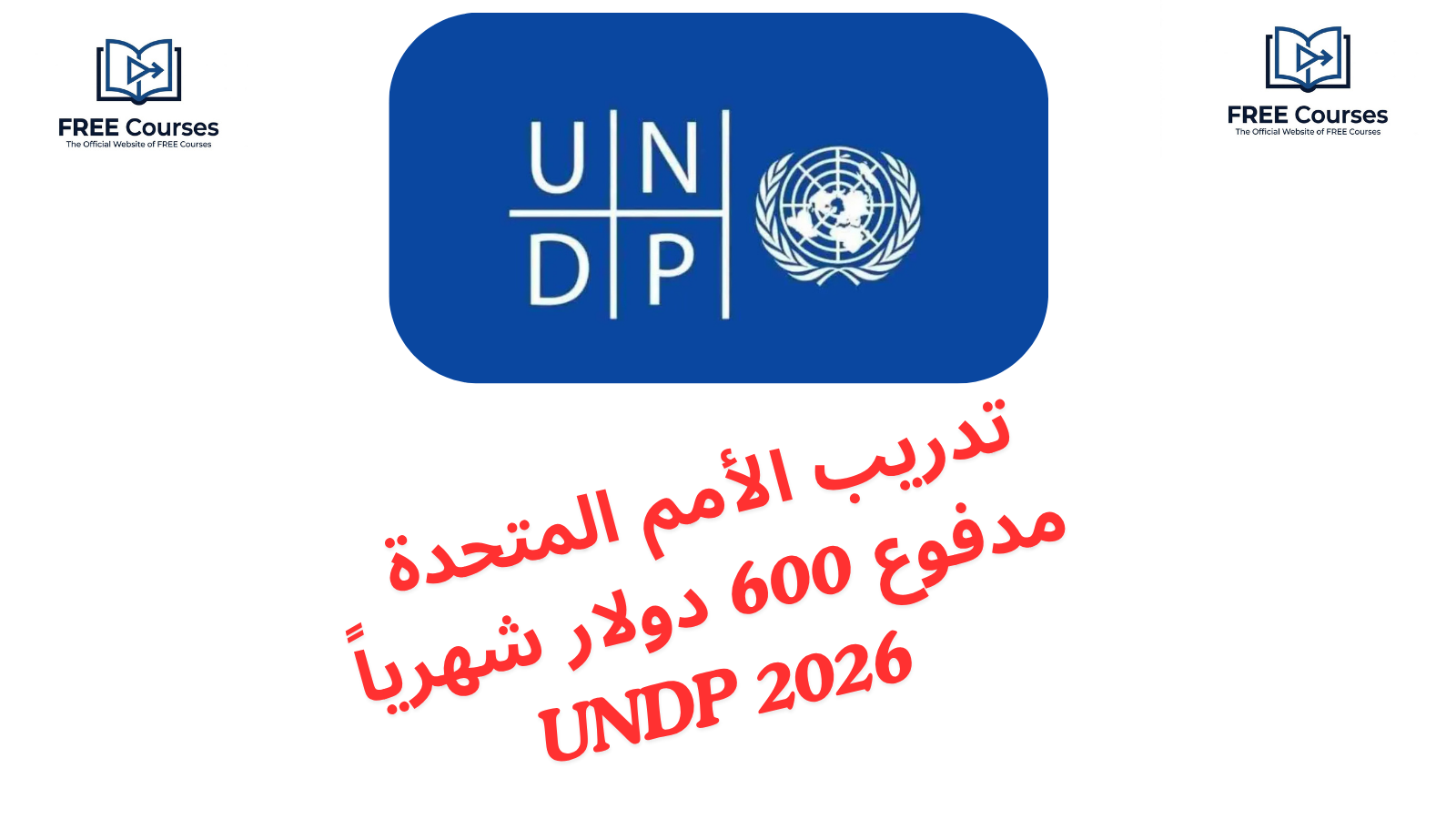 تدريب الأمم المتحدة مدفوع 600 دولار شهريا UNDP 2026