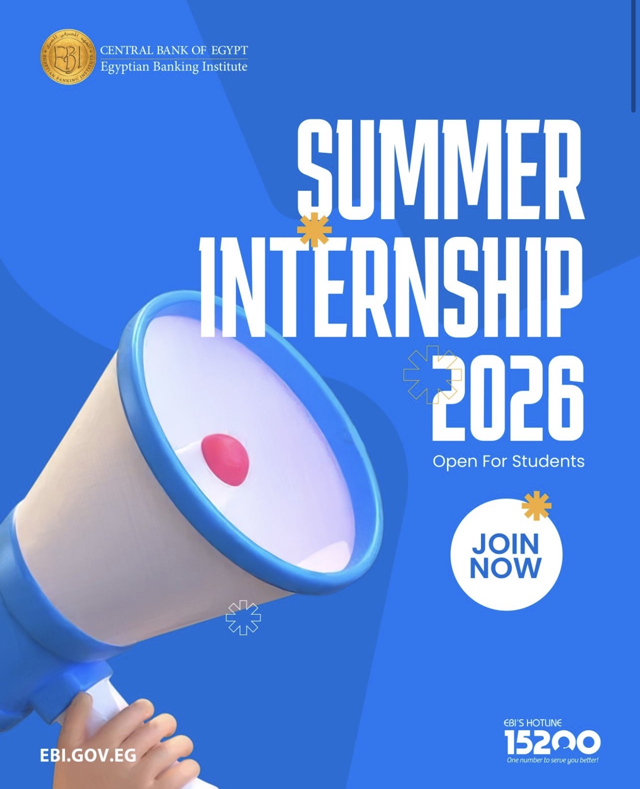 Central Bank Of Egypt Summer Internship 2026