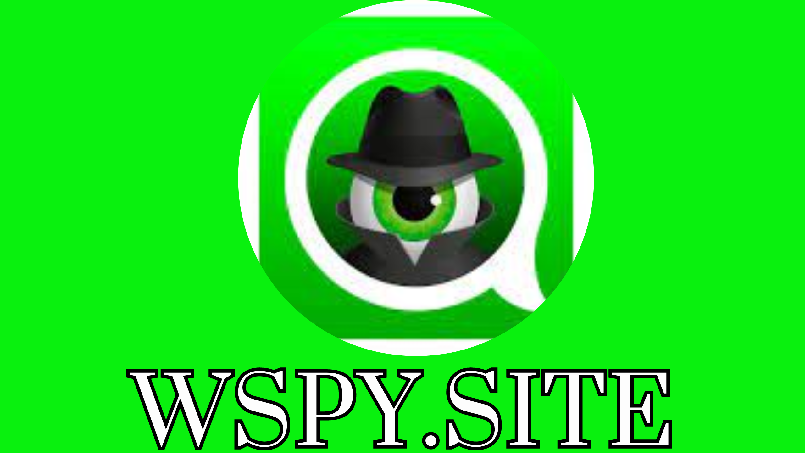 تنزيل wspy.site لكاشف رسائل الواتساب 2024 مجانا للايفون و الاندرويد