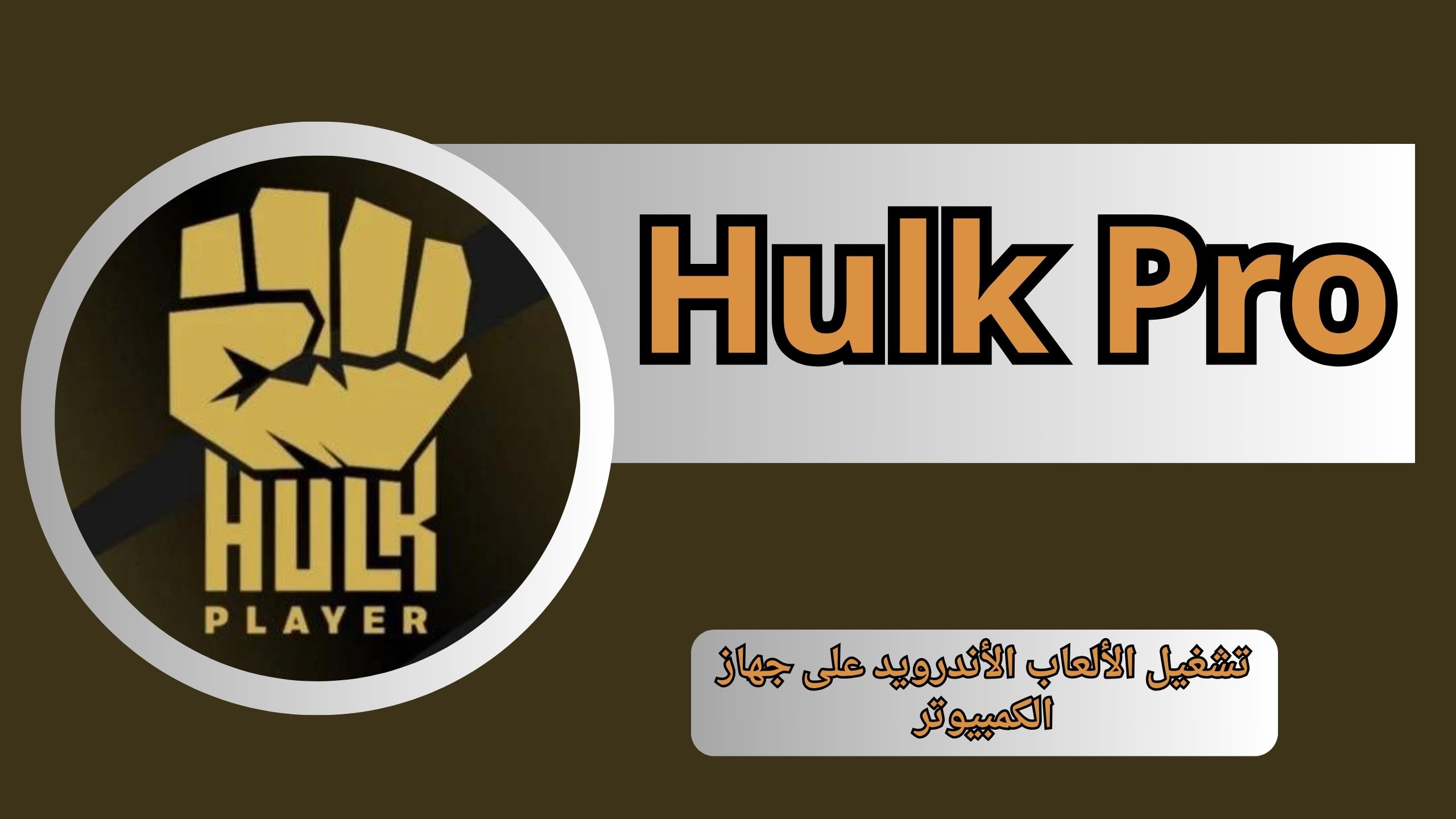 تحميل تطبيق هولك Hulk Pro APK للاندرويد و الايفون اخر اصدار 2024 مجانا