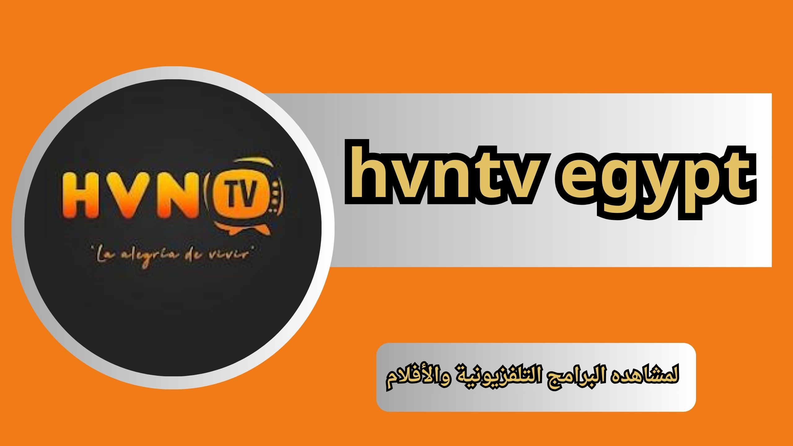تحميل تطبيق hvntv egypt للاندرويد و الايفون اخر اصدار 2024 مجانا