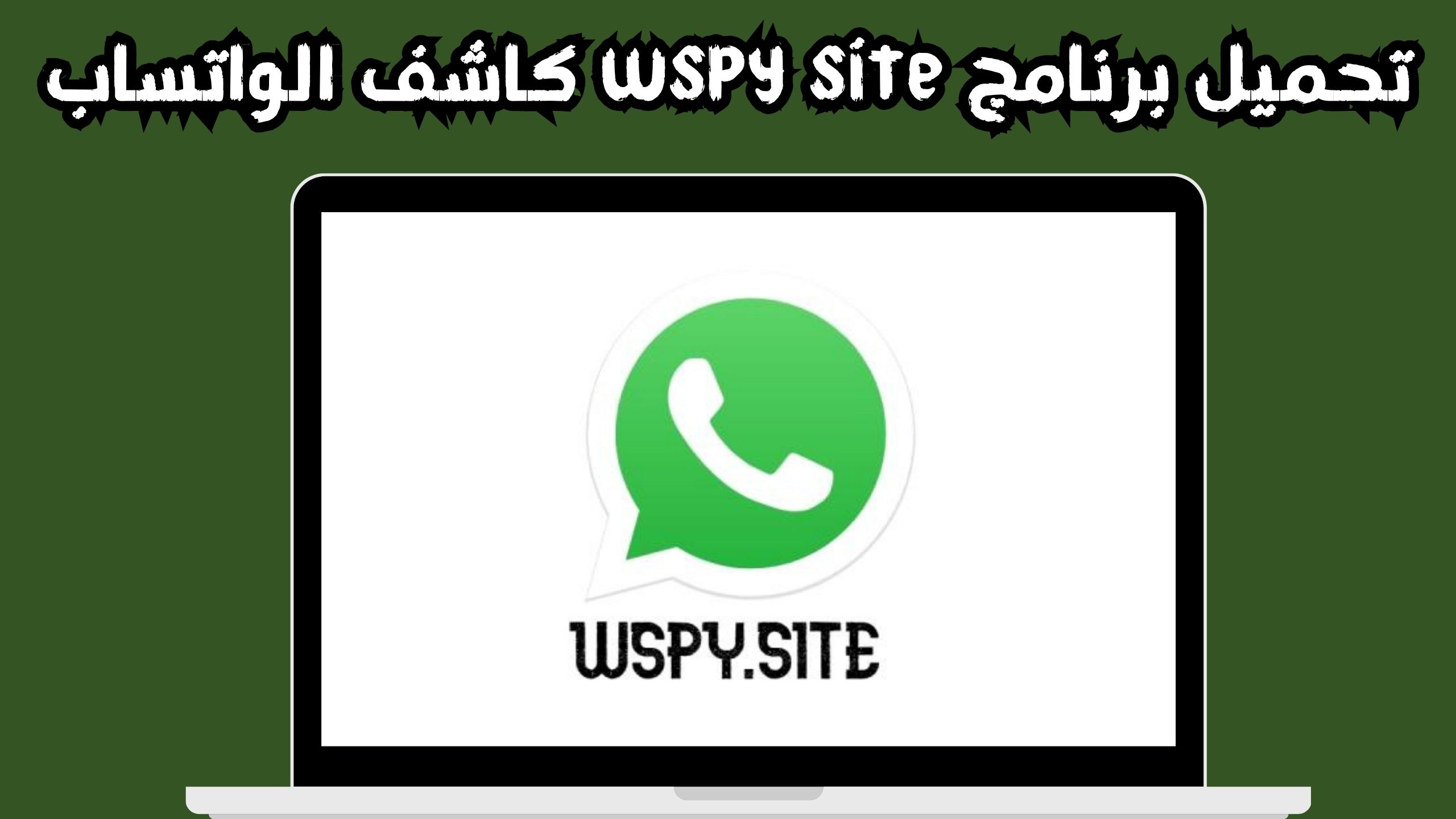 تنزيل برنامج wspy site كاشف الواتساب وطريقة استخدامة للاندرويد والايفون 2024