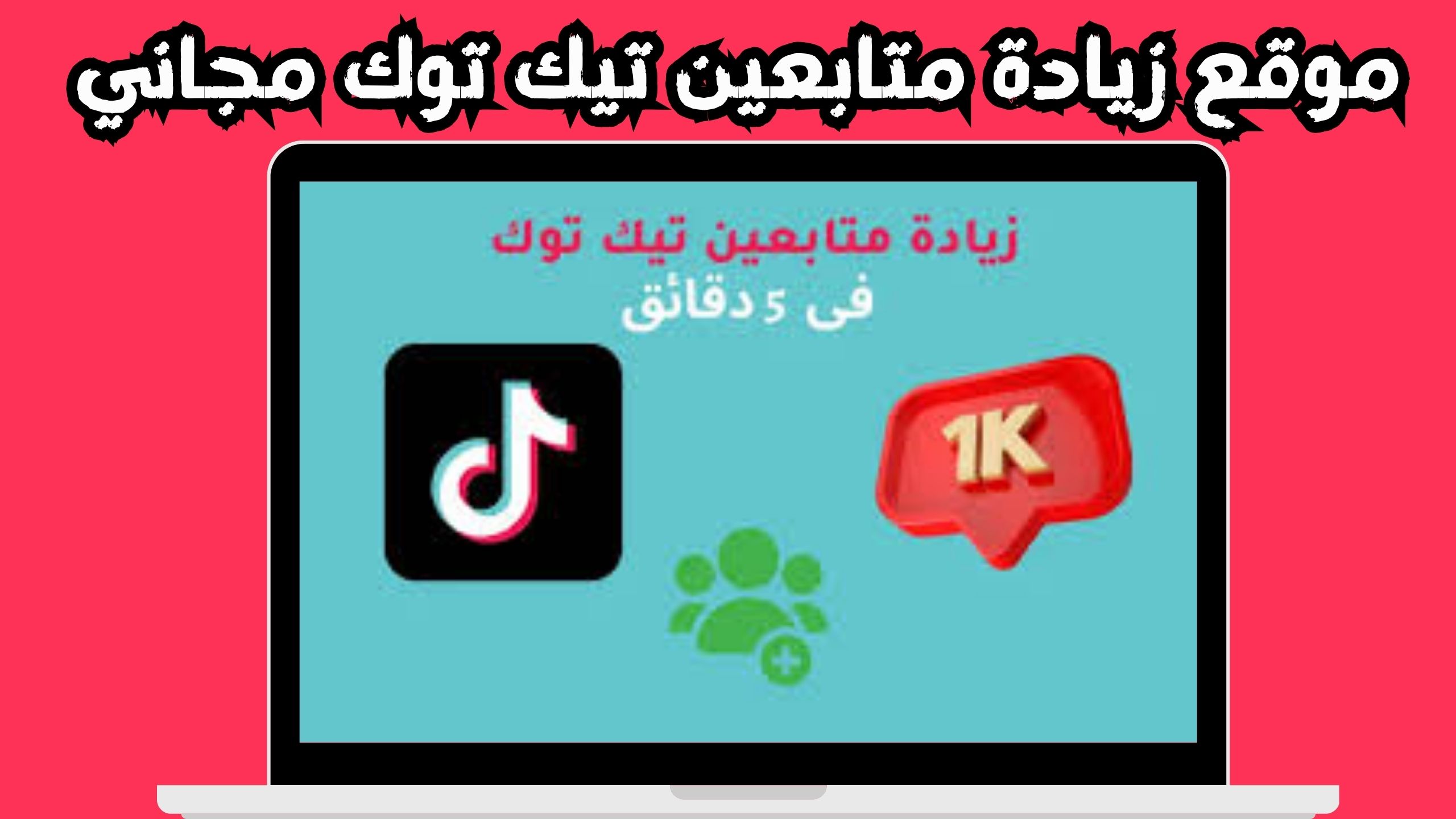 موقع زيادة متابعين تيك توك 1000 متابع يوميا خلال 5 دقايق 2024 مجانا 
