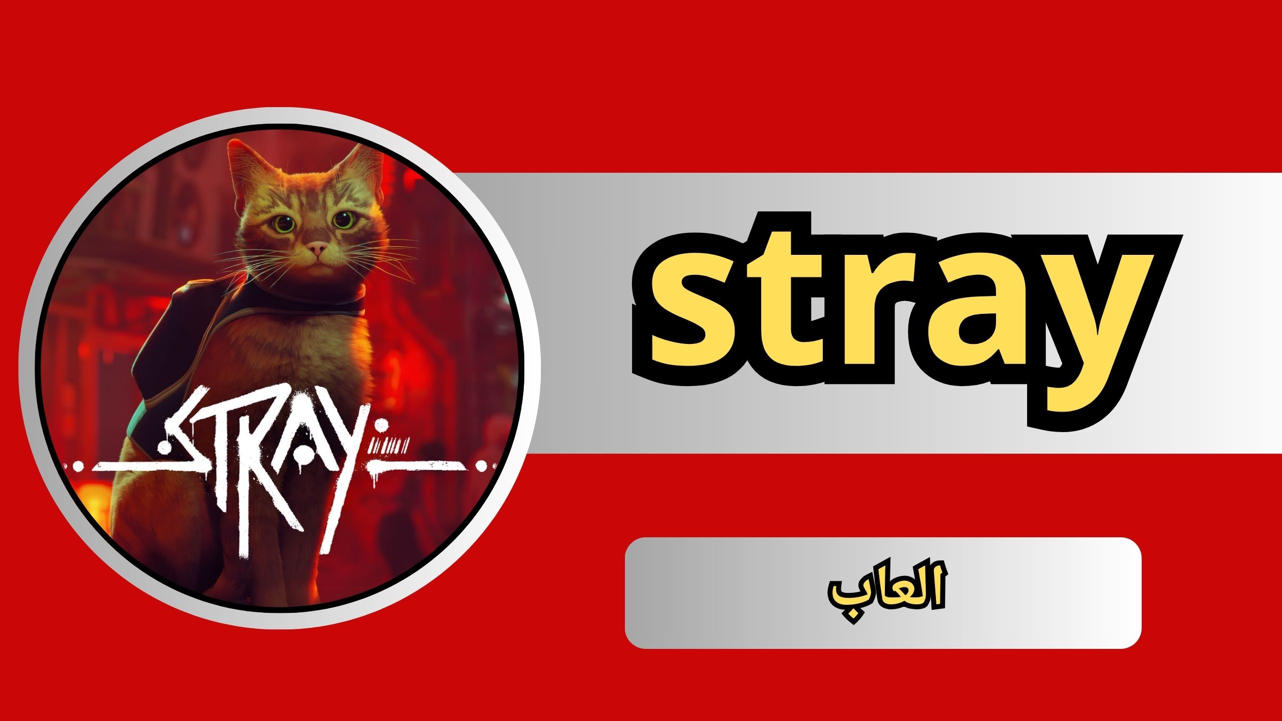 تحميل لعبة stray APK للاندرويد و الايفون اخر اصدار 2024 مجانا