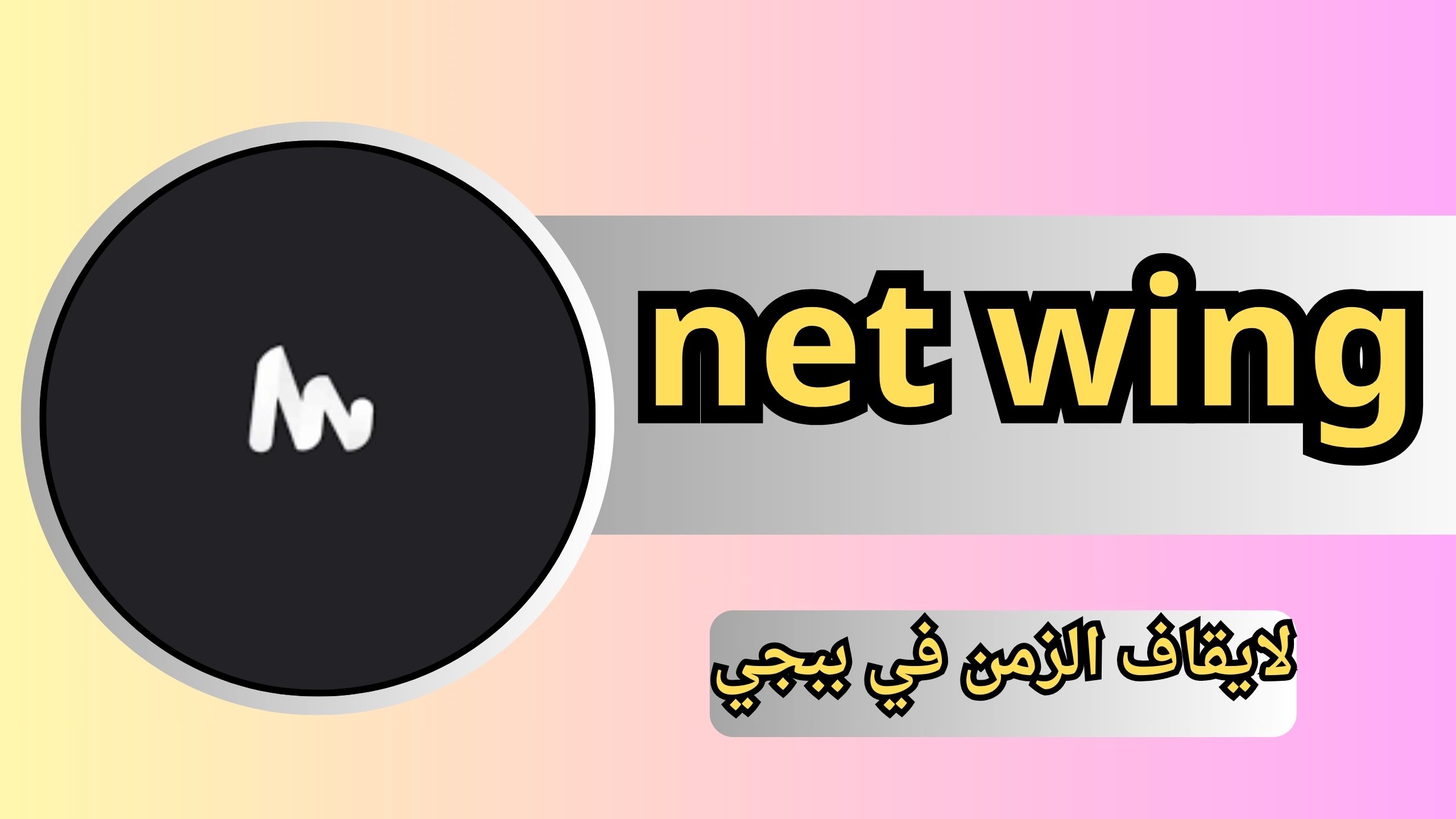 كيفية تفعيل برنامج net wing لايقاف الزمن في ببجي 2024