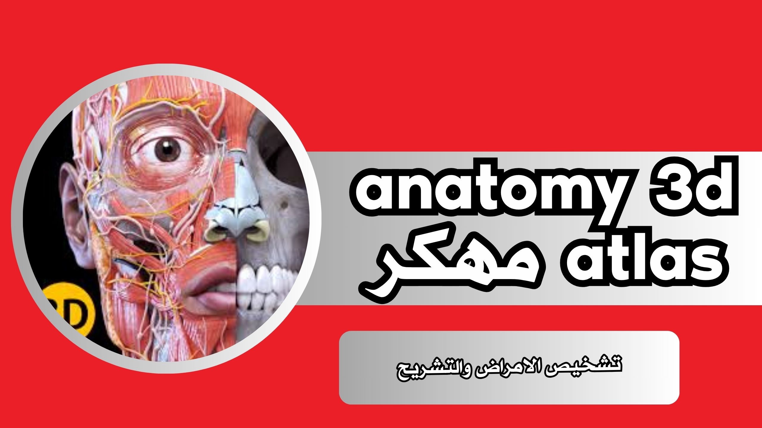تحميل برنامج anatomy 3d atlas مهكر 2024 للاندرويد والكمبيوتر من ميديا فاير مجانا