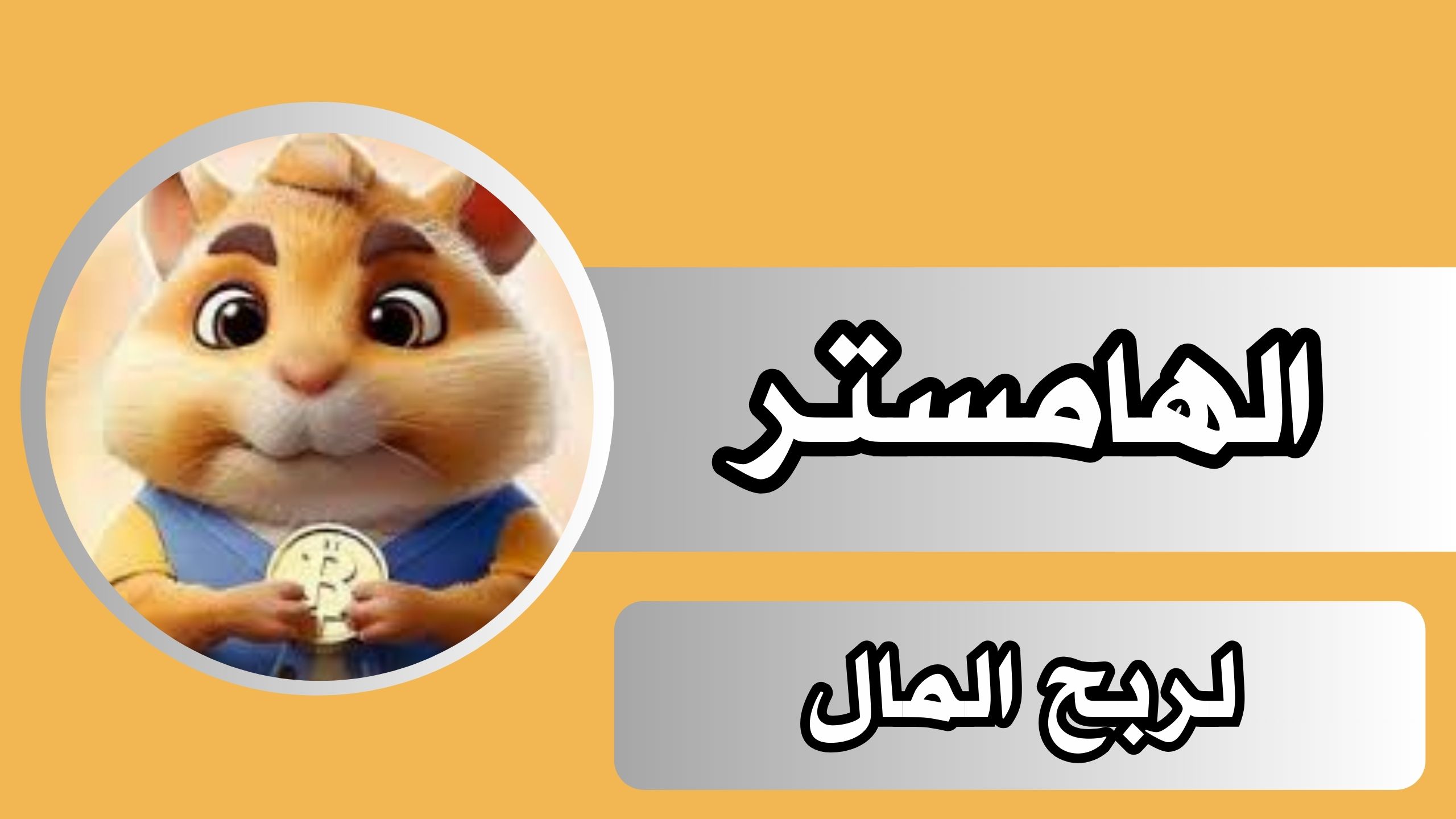 تنزيل لعبة الهامستر لربح المال للاندرويد و الايفون اخر اصدر 2024 مجانا