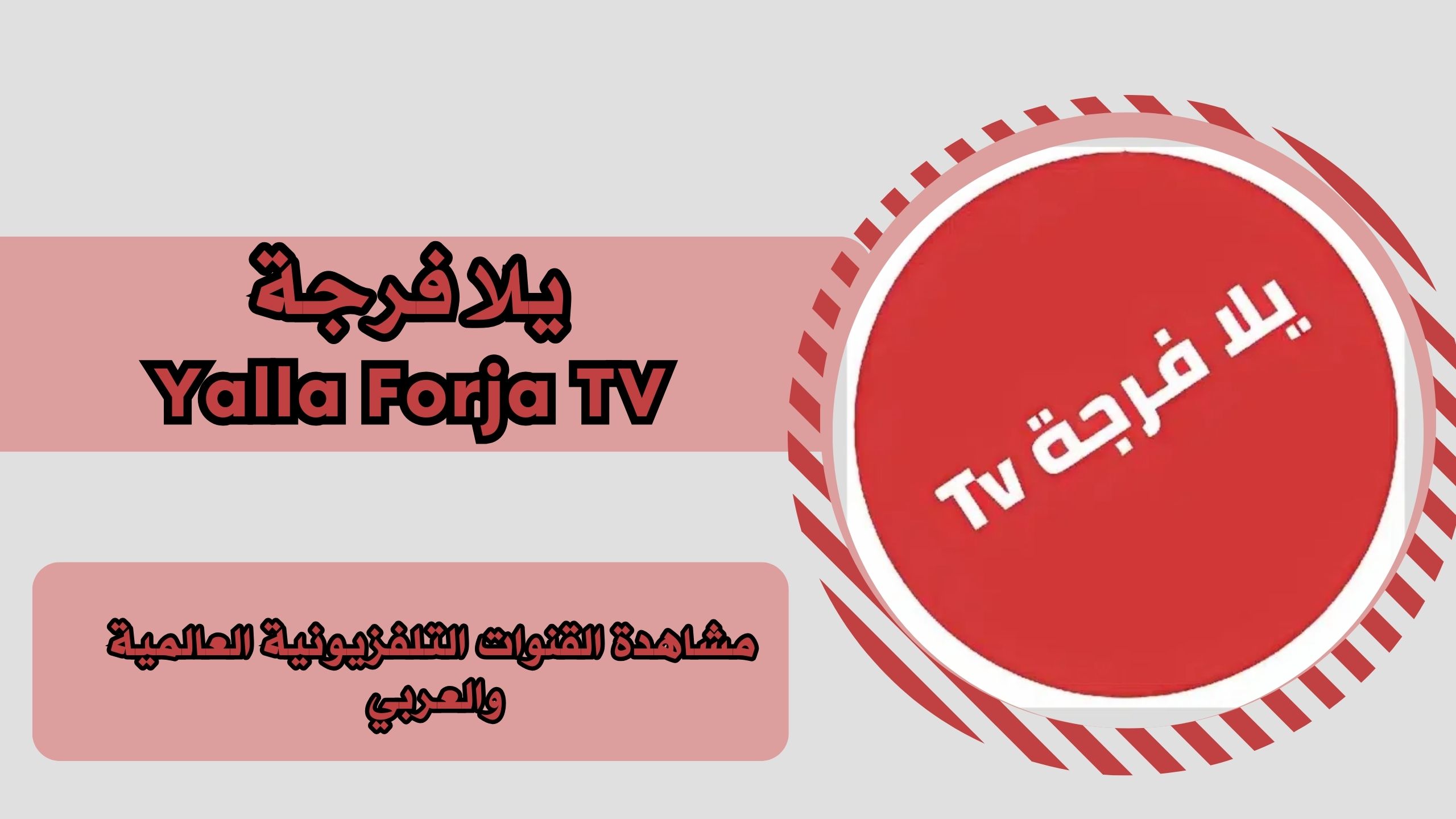 تحميل تطبيق يلا فرجة Yalla Forja TV للاندرويد والايفون برابط مباشر مجانا 2025