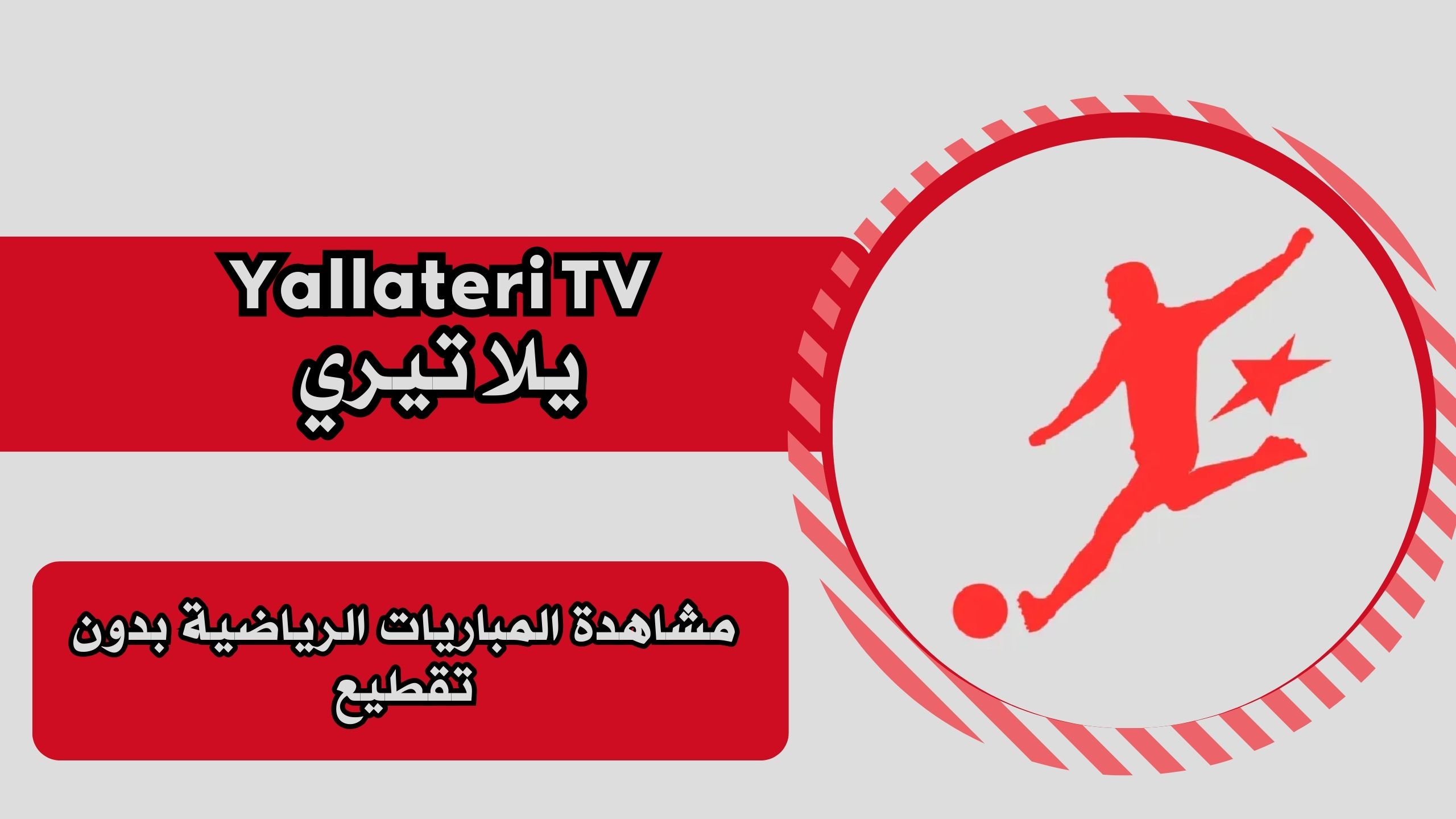 تحميل تطبيق يلا تيري Yallateri TV apk للاندرويد والايفون برابط مباشر مجانا 2025