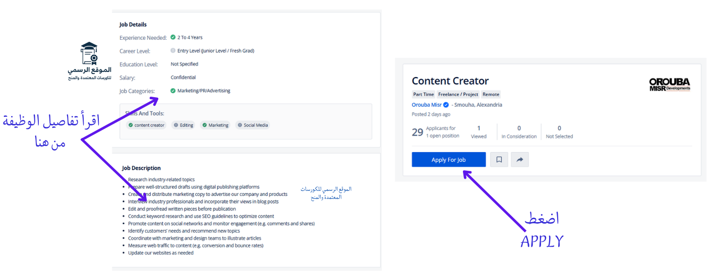 أفضل مواقع التوظيف في مصر 2025